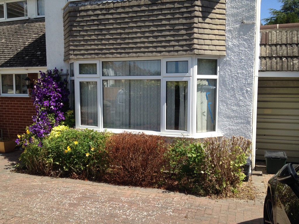 Hedge in front of house after cutting